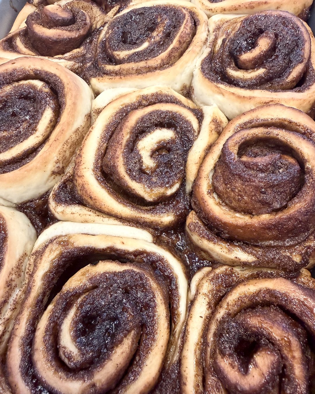 Close-up of baked cinnamon rolls in the pan