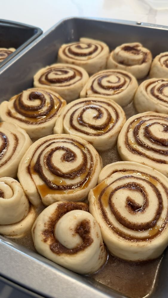 Raw cinnamon roll spirals proofing in the pan, before baking